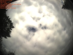 Dunedin, New Zealand latest webcam image.
